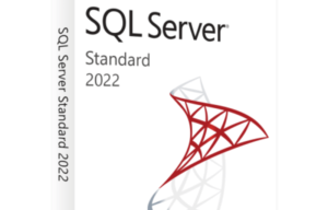What is Microsoft SQL Server? An Introduction - WebMatrix Servers ...