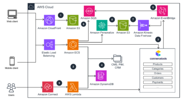 Aws Hosting for High-Traffic E-Commerce Websites