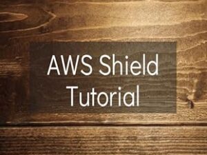 Ddos Protection With Aws Shield