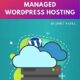 Managed Wordpress Hosting