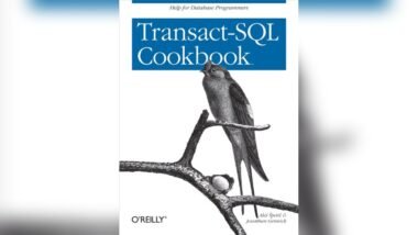 Database Solutions for Saas Applications