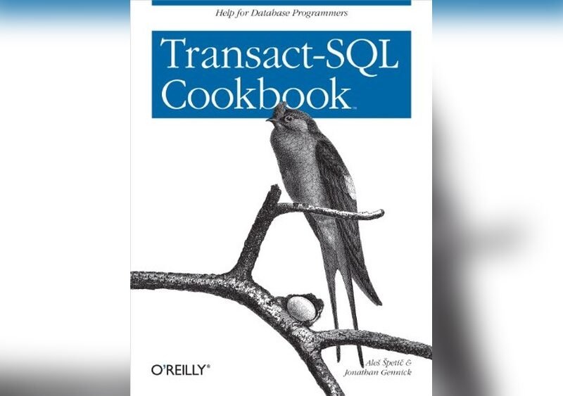 Database Solutions for Saas Applications