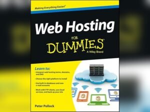 Hosting for Content-Heavy Websites