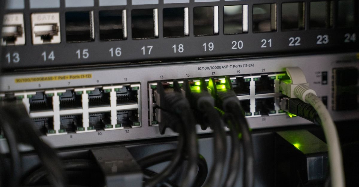 A numbered patch panel with network cables
