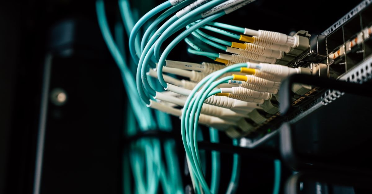 Teal network cables plugged into a switch