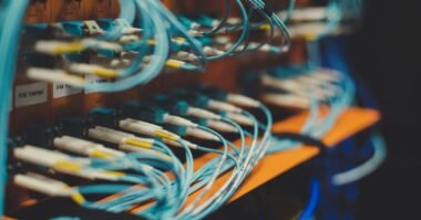 Blue network cables wired into switching equipment