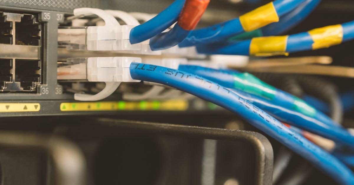 Ethernet cables being connected to a network switch